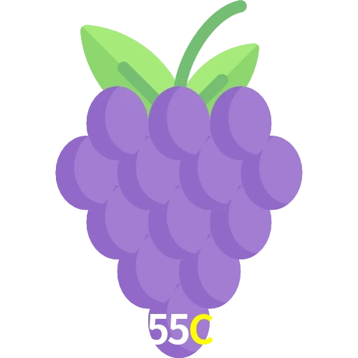 55C